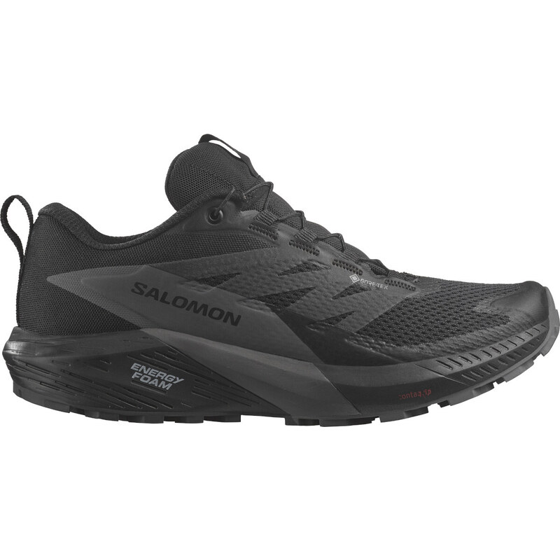 Trailové boty Salomon SENSE RIDE 5 GTX W l47147600