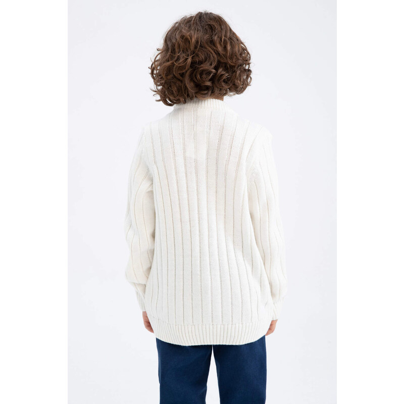 DEFACTO Boy Regular Fit Crew Neck Knitwear Sweater