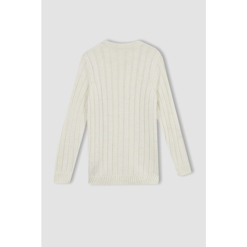 DEFACTO Boy Regular Fit Crew Neck Knitwear Sweater