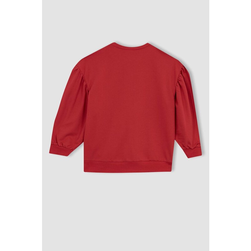 DEFACTO Regular Fit Crew Neck Sweatshirt