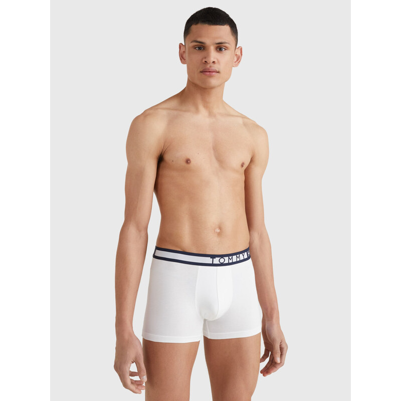 Blízko k tělu Pánské batohy 3P TRUNK UM0UM012340XY - Tommy Hilfiger