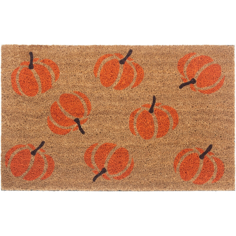 Hanse Home Collection koberce Rohožka Mix Mats Cocos 105677 - 45x75 cm