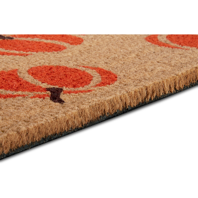 Hanse Home Collection koberce Rohožka Mix Mats Cocos 105677 - 45x75 cm