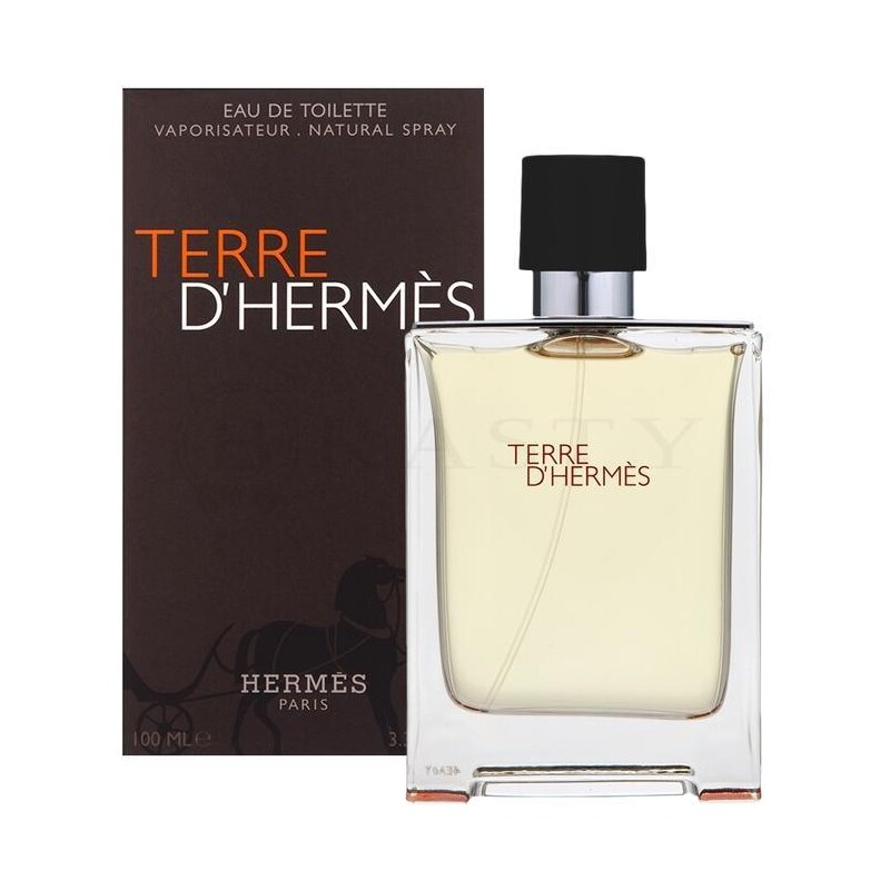 Hermès Terre D'Hermes toaletní voda pro muže 100 ml