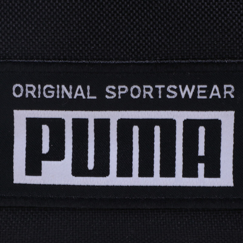 Ledvinka Puma