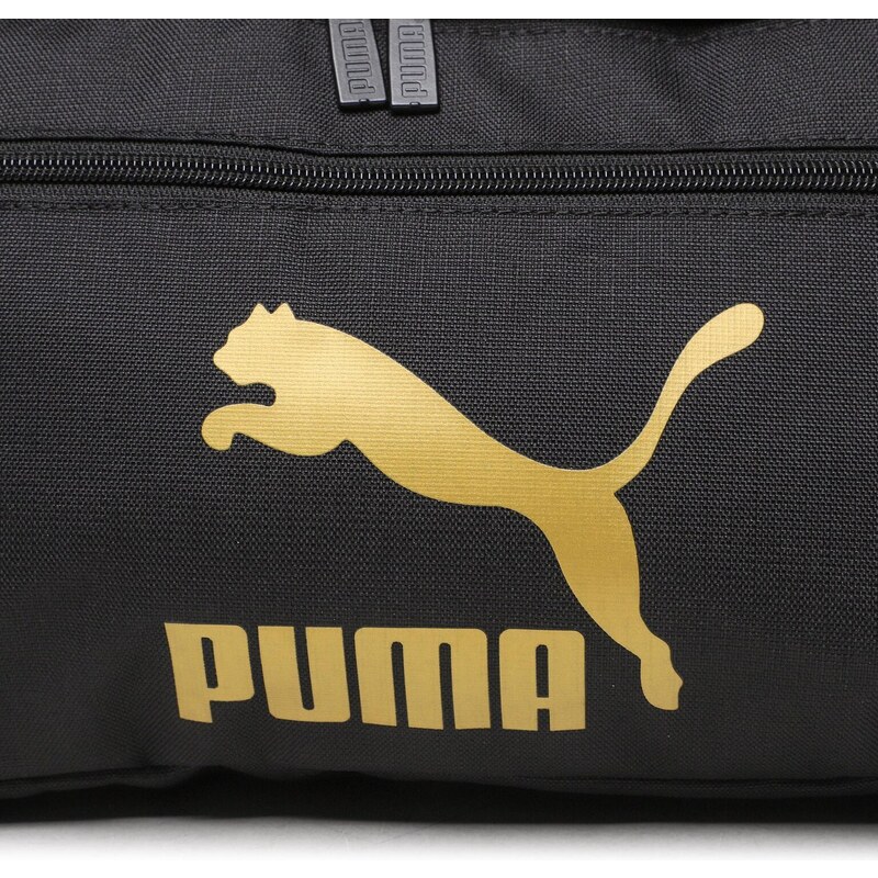 Ledvinka Puma