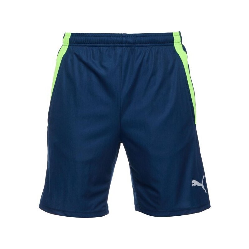 Puma TEAMLIGA TRAINING SHORTS 2 Pánské fotbalové šortky