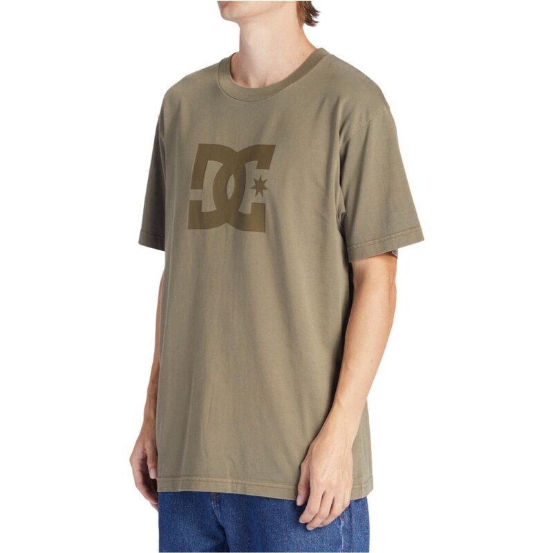 Dc shoes pánské tričko DC Star Pigment Capers Enzyme Wash | Zelená