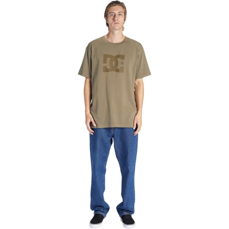 Dc shoes pánské tričko DC Star Pigment Capers Enzyme Wash | Zelená