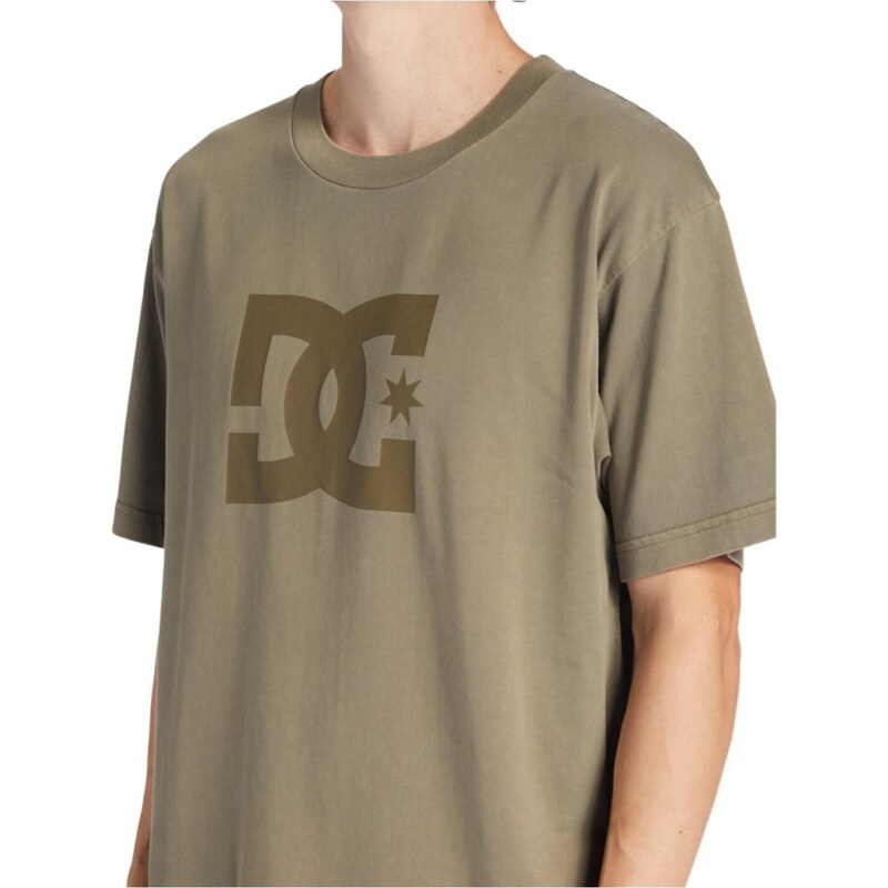 Dc shoes pánské tričko DC Star Pigment Capers Enzyme Wash | Zelená