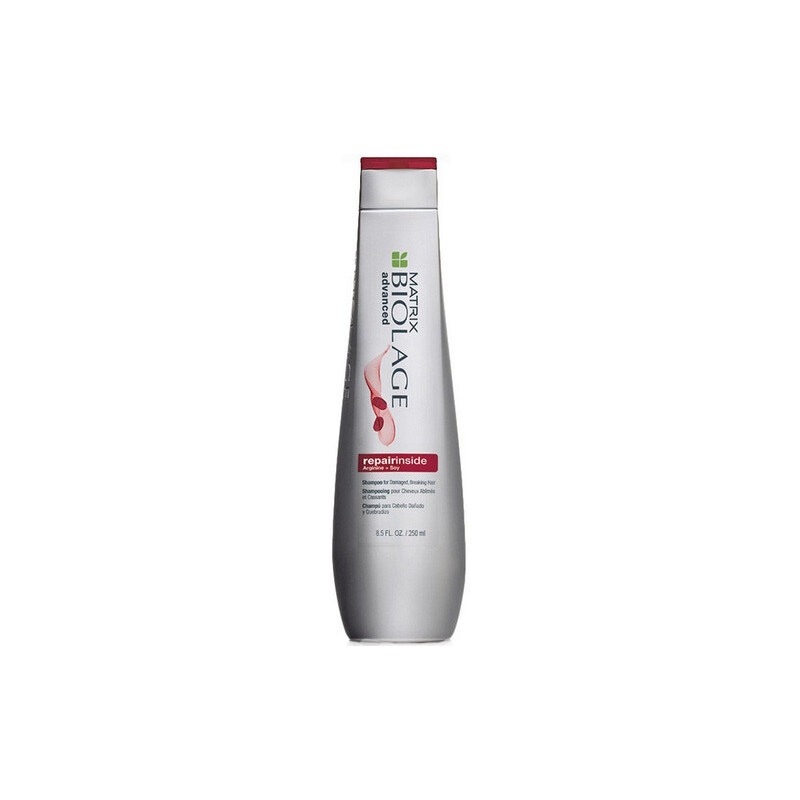 Matrix Šampon pro poškozené vlasy Biolage Repairinside (Shampoo)