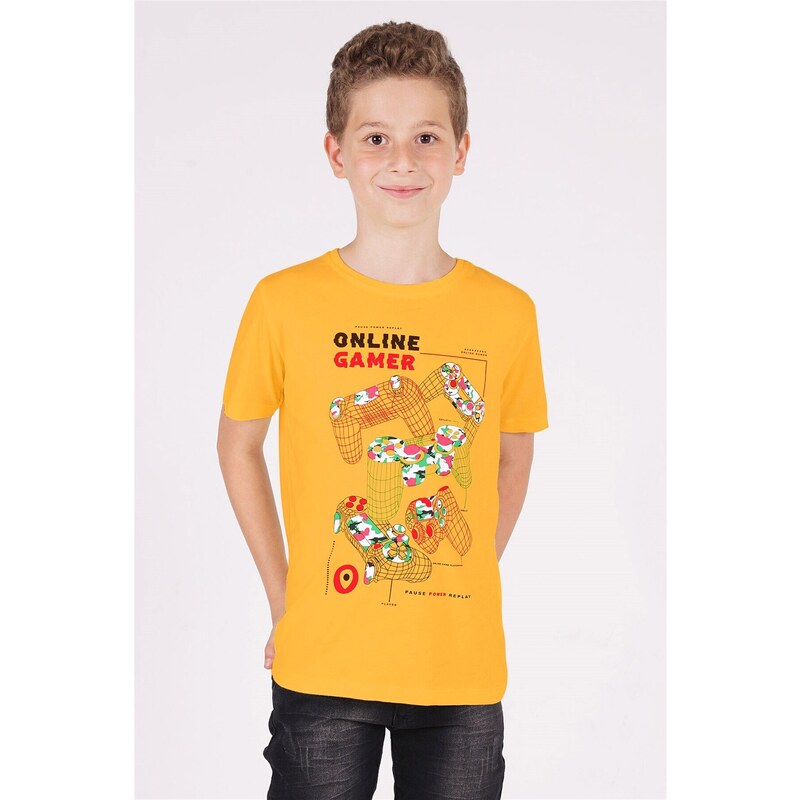 zepkids Boys' Mustard-colored Crewneck Play Arms Printed T-Shirt