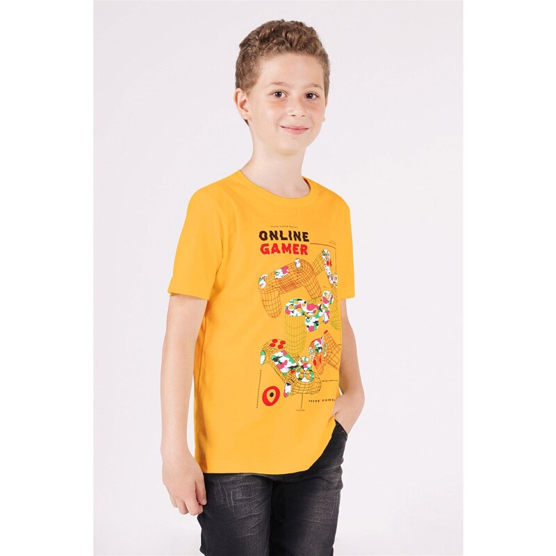 zepkids Boys' Mustard-colored Crewneck Play Arms Printed T-Shirt