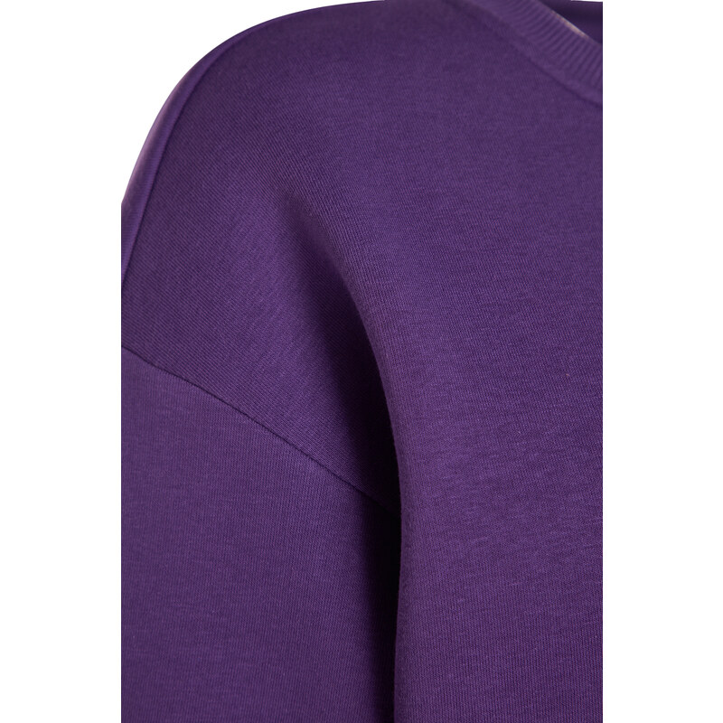 Trendyol Purple Oversize/Comfortable fit Basic Crew Neck Thick/Polarized Knitted Sweatshirt