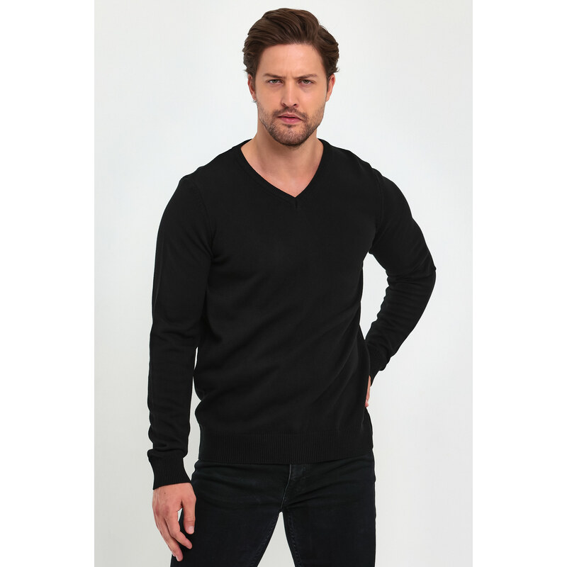 Lafaba Men's Black V-Neck Basic Knitwear Sweater