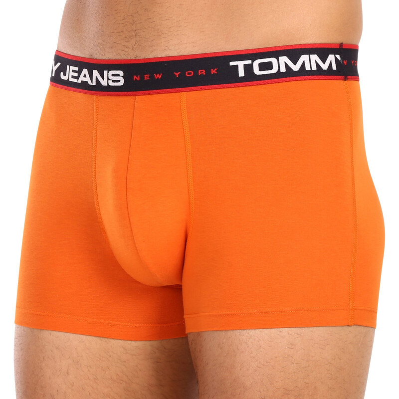 3PACK pánské boxerky Tommy Hilfiger vícebarevné (UM0UM02968 0SP)