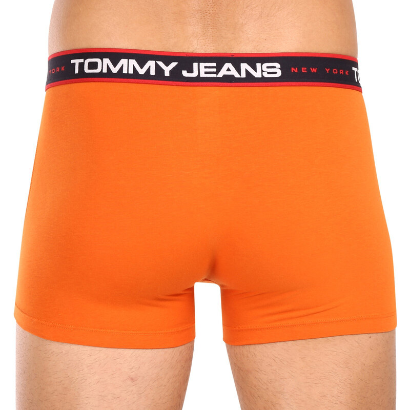 3PACK pánské boxerky Tommy Hilfiger vícebarevné (UM0UM02968 0SP)