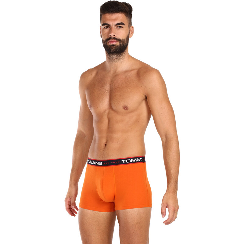 3PACK pánské boxerky Tommy Hilfiger vícebarevné (UM0UM02968 0SP)