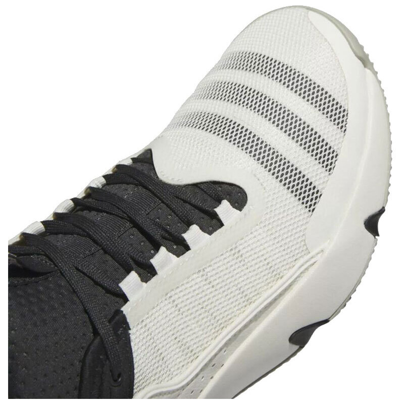 Pánské basketbalové boty Adidas Trae Unlimited bílo-černé velikost 48