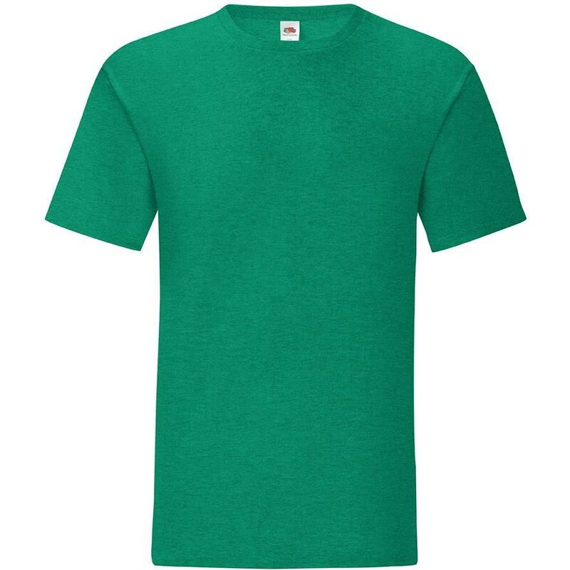 Green men's t-shirt in combed cotton Iconic with Fruit of the Loom sleeve