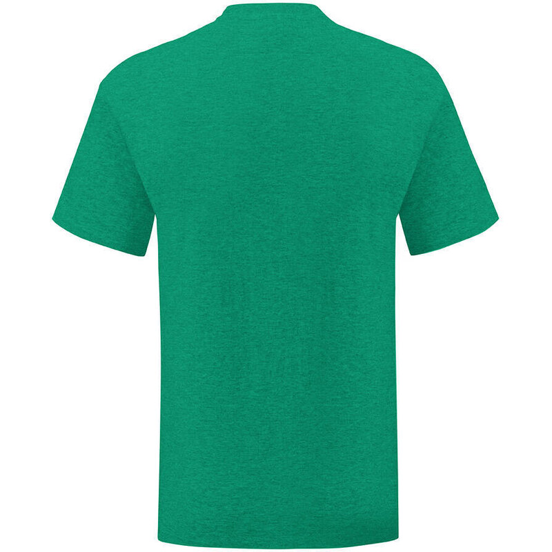 Green men's t-shirt in combed cotton Iconic with Fruit of the Loom sleeve