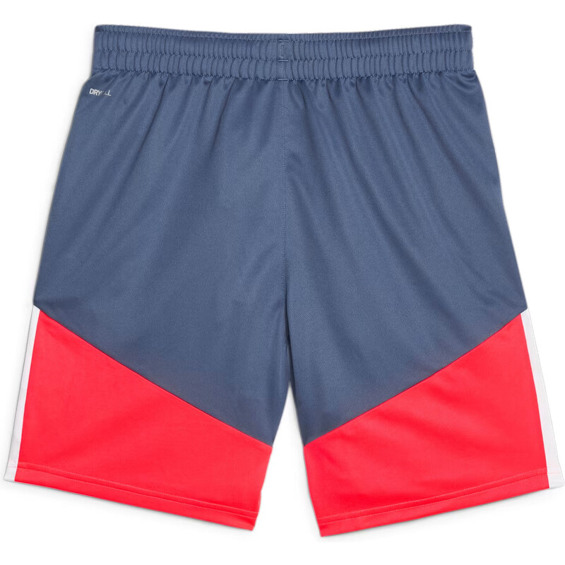 Šortky Puma individualCUP Shorts 658485-53