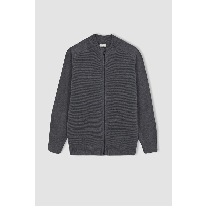 DEFACTO Regular Fit Bomber Collar Cardigan