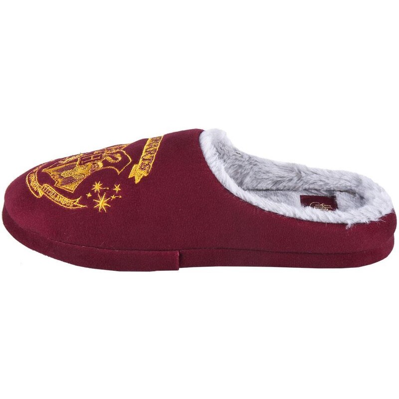 HOUSE SLIPPERS FRANCESITA HARRY POTTER