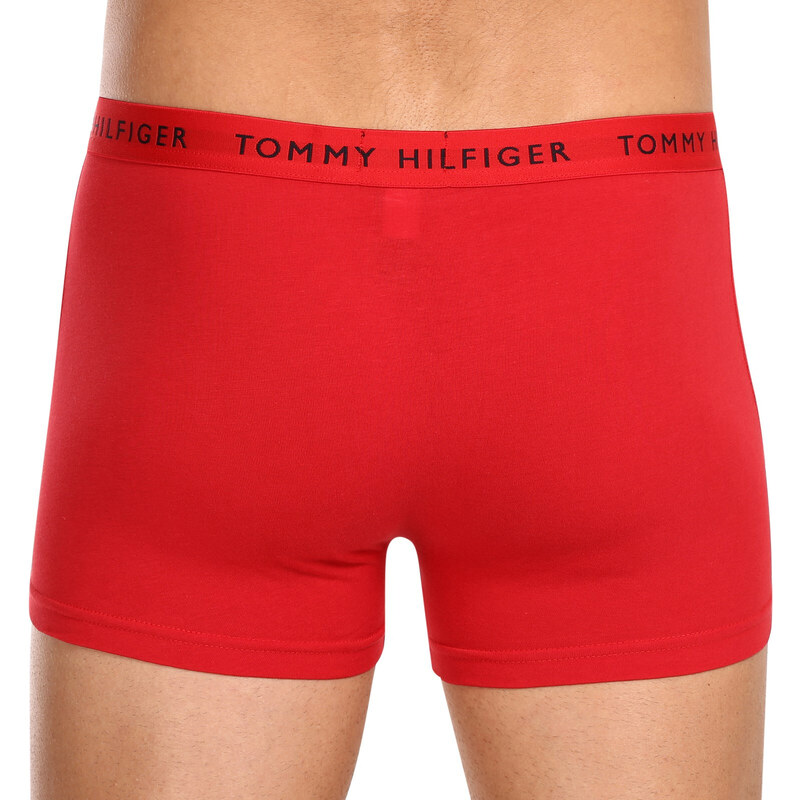 3PACK pánské boxerky Tommy Hilfiger vícebarevné (UM0UM02203 0WS)