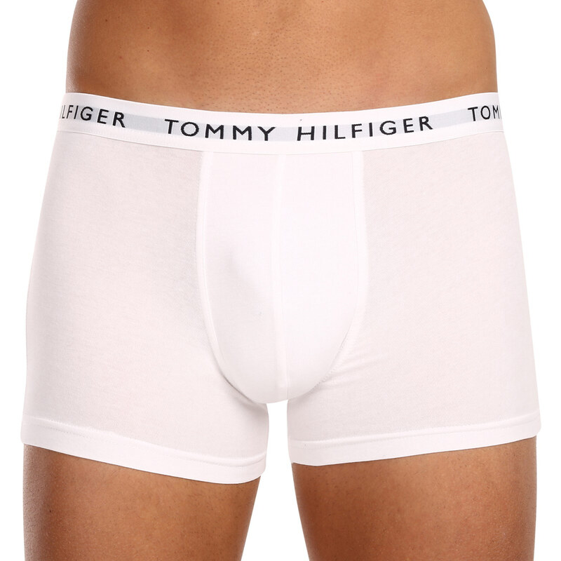 3PACK pánské boxerky Tommy Hilfiger vícebarevné (UM0UM02203 0WS)