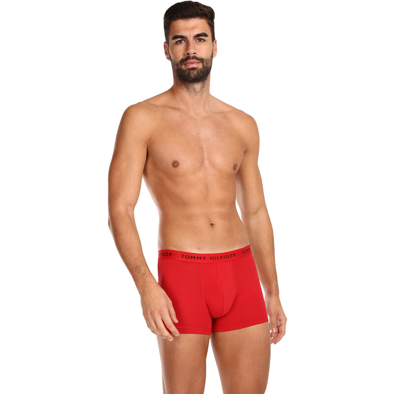 3PACK pánské boxerky Tommy Hilfiger vícebarevné (UM0UM02203 0WS)