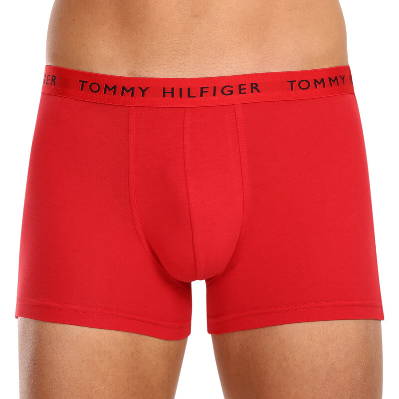 3PACK pánské boxerky Tommy Hilfiger vícebarevné (UM0UM02203 0WS)