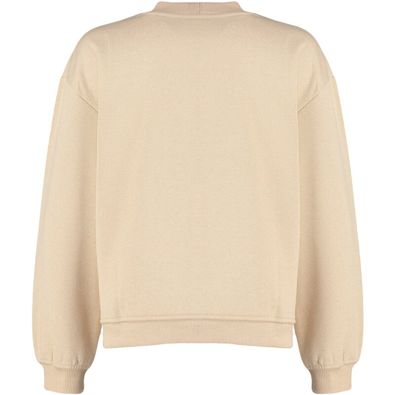 Trendyol Beige More Sustainable Thick, Fleece Inside, Stand-Up Collar Loose Knitted Sweatshirt