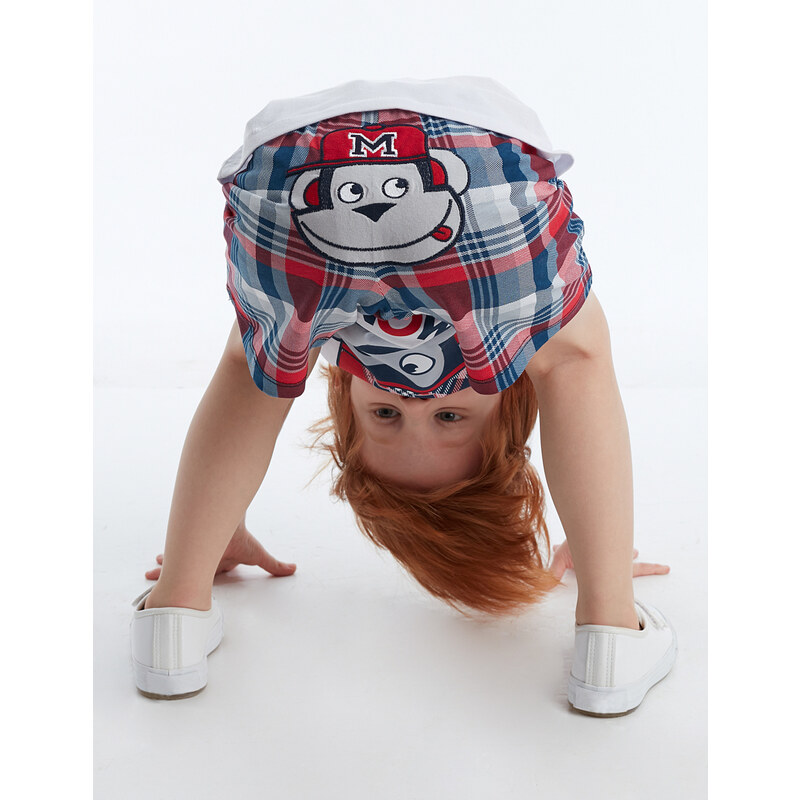 Denokids Monkey Plaid Boy's T-shirt Shorts Set