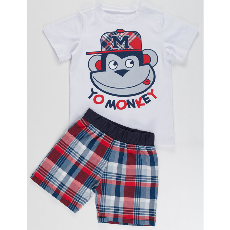 Denokids Monkey Plaid Boy's T-shirt Shorts Set