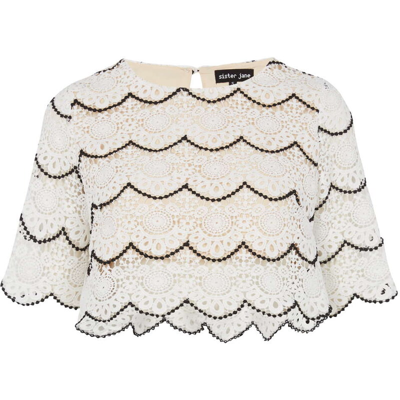 Topshop **Lace Falcon Wings Top by Sister Jane