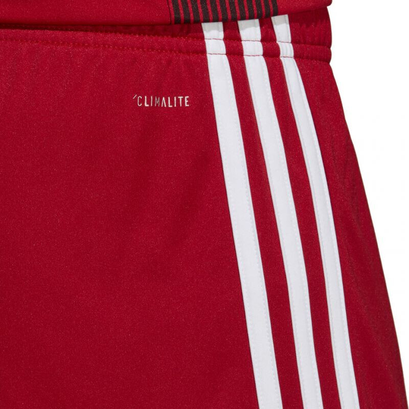 Pánské šortky Tastigo 19 DP3681 - Adidas