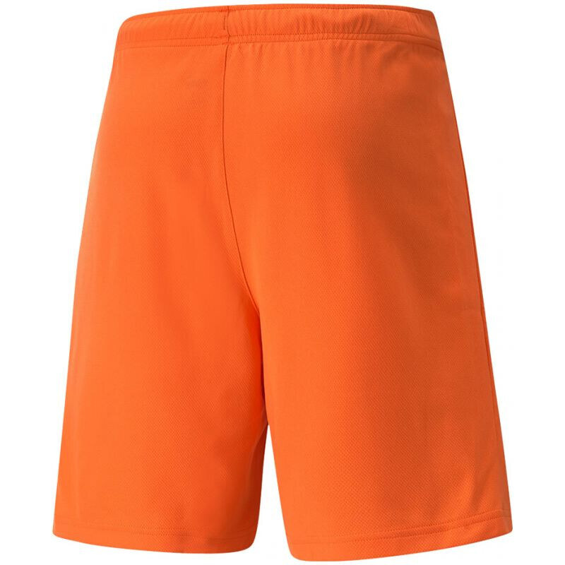 Pánské kraťasy TeamRise Short Prist M 704942 08 - Puma