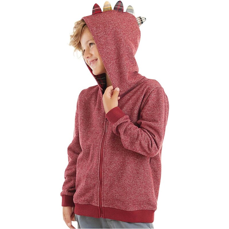 Denokids Dragon Boy Hooded Sweatshirt