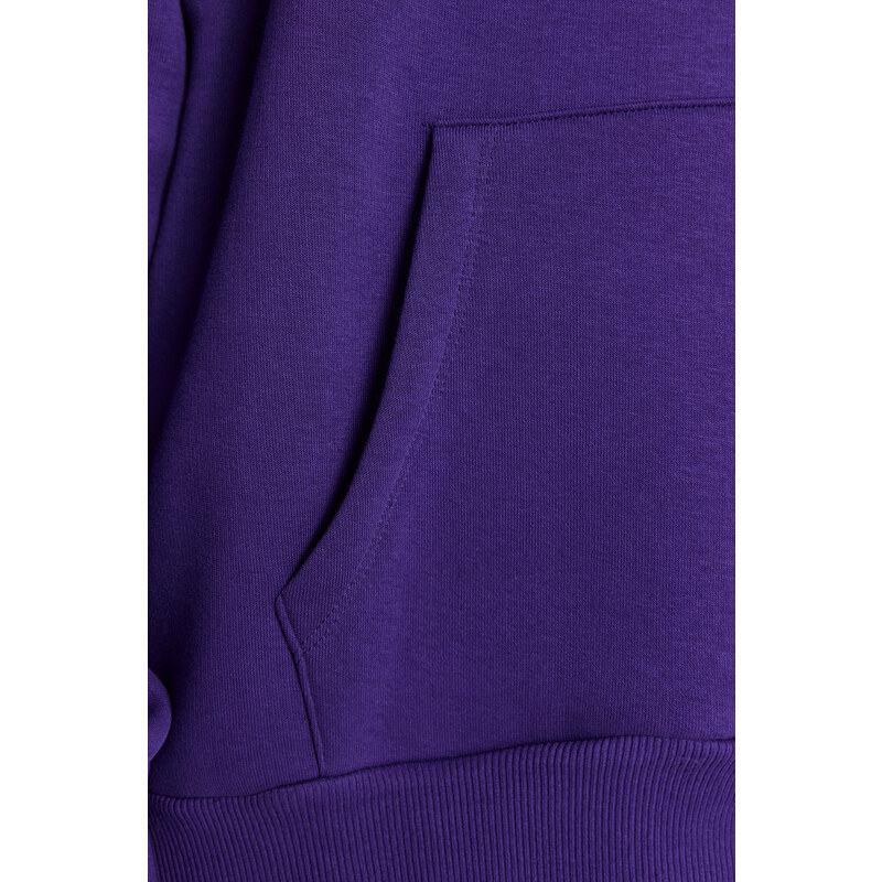 Trendyol Purple Thick Fleece Inside Oversized/Wide Fit With a Hooded Basic Knitted Sweatshirt