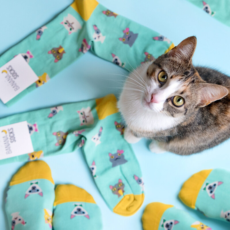 Banana Socks Banánové ponožky Sada ponožek The Cat Set