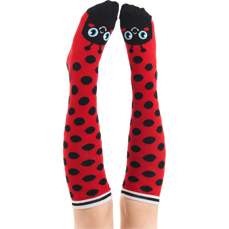 Denokids Ladybug Girls Knee Socks