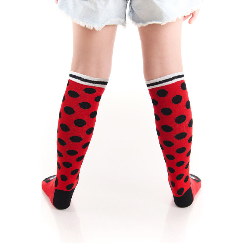 Denokids Ladybug Girls Knee Socks