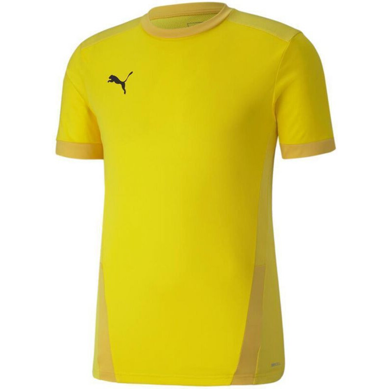 Puma teamGOAL 23 Jersey M 704171 07 pánské dresy