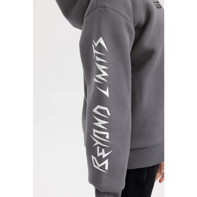 DEFACTO Regular Fit Hooded Sweatshirt