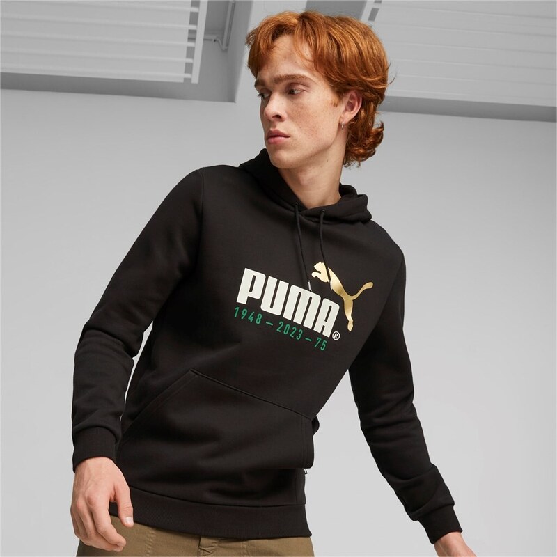 Puma No. 1 Logo Celebration Hoodie FL black