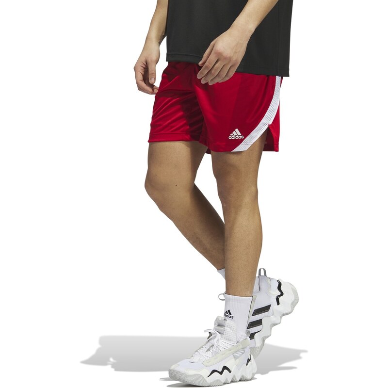 adidas Performance adidas Icon Squad Shorts TMPWRD/WHITE/WHITE