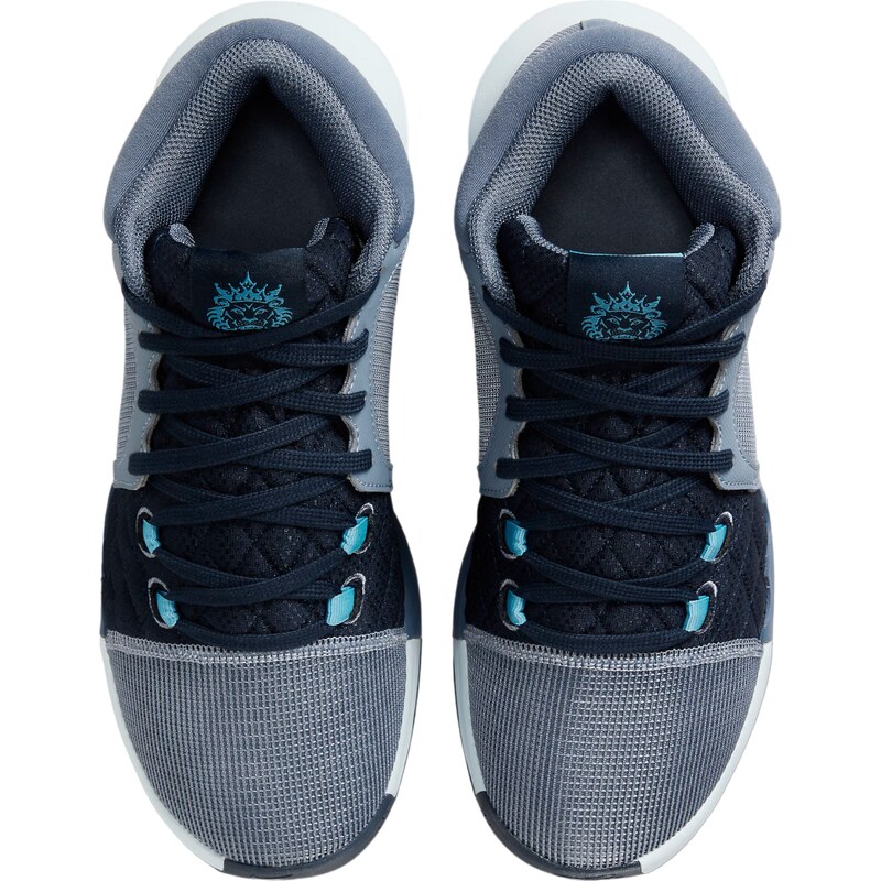 Basketbalové boty Nike LEBRON WITNESS VIII fb22-400 EU