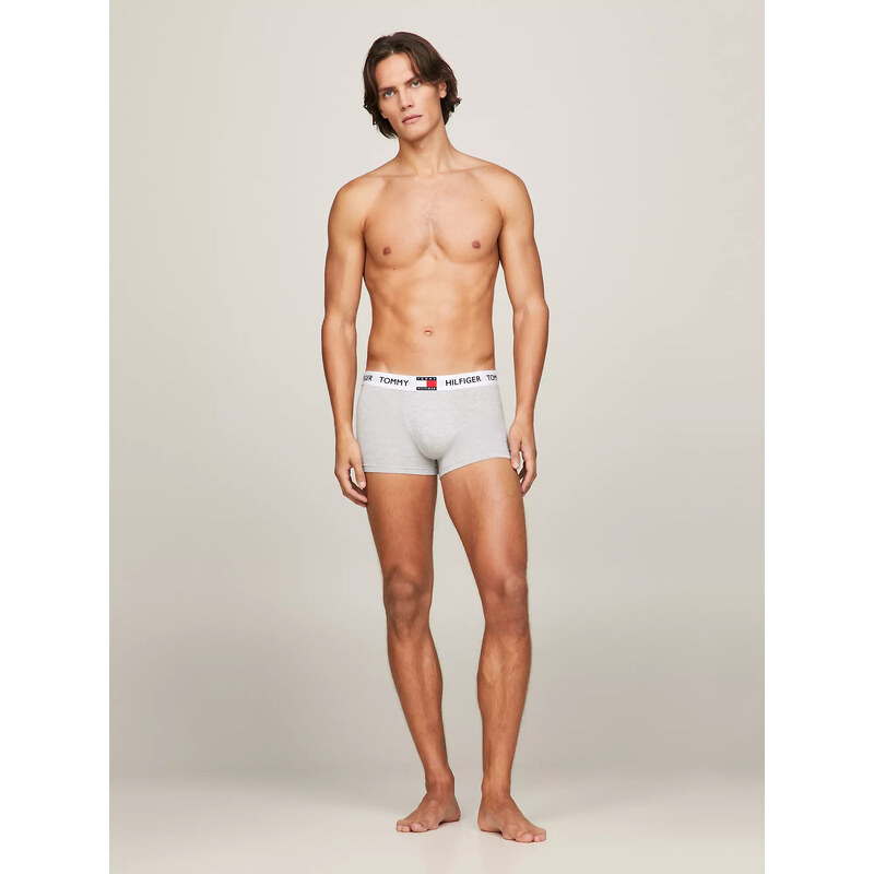 Spodní díl pánského spodního prádla TRUNK UM0UM01810P01 - Tommy Hilfiger