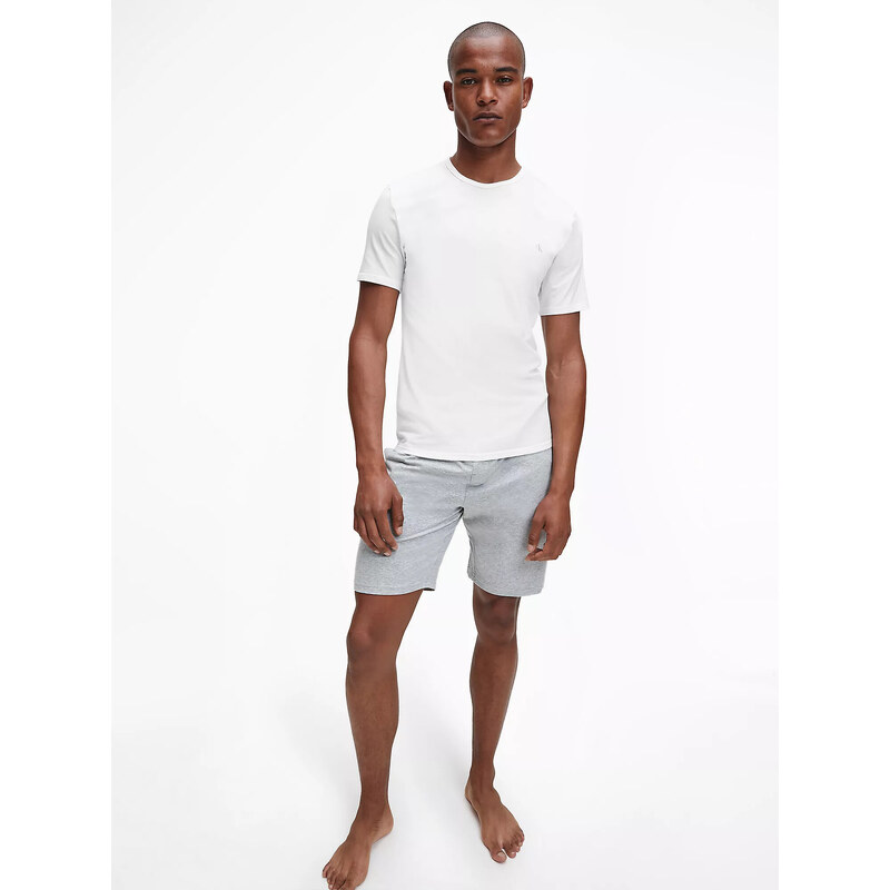 Pánské spodní prádlo S/S CREW NECK 2PK 000NB2221A100 - Calvin Klein